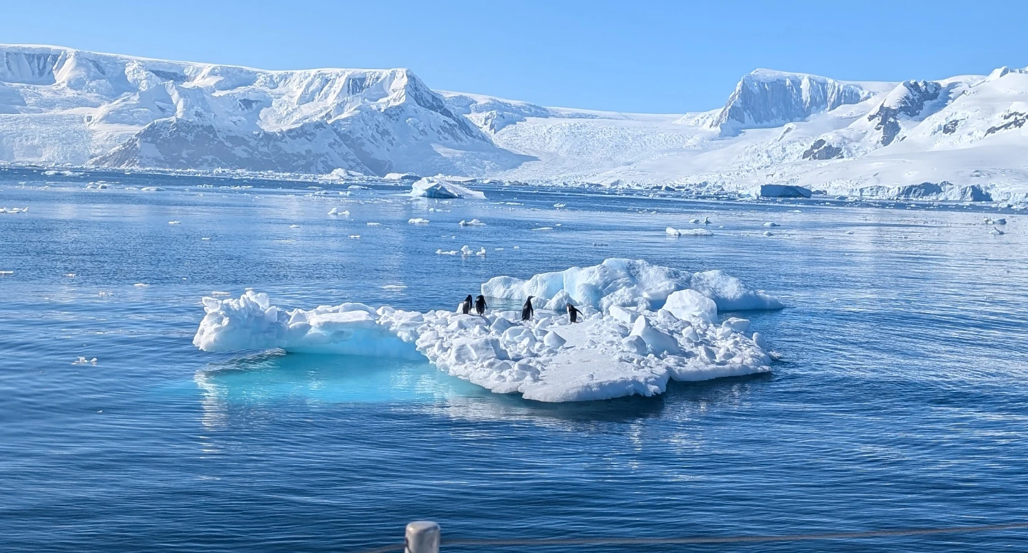 Manchots sur leur iceberg
