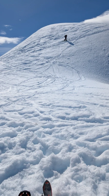 Départ sur l'île Lemaire