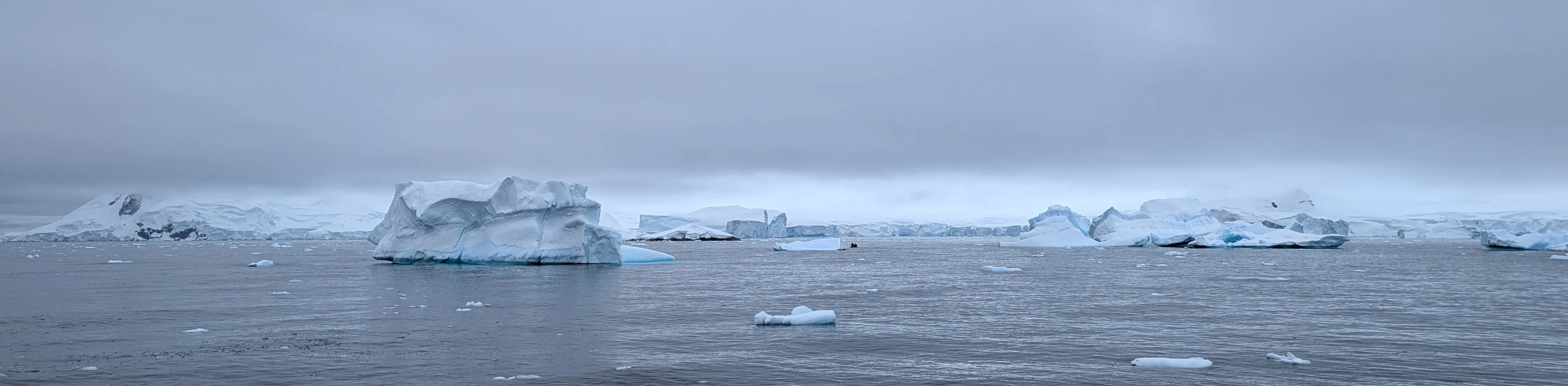 Visite de gros icebergs