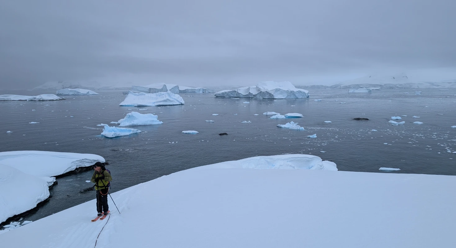 Gros icebergs depuis le mont Harris